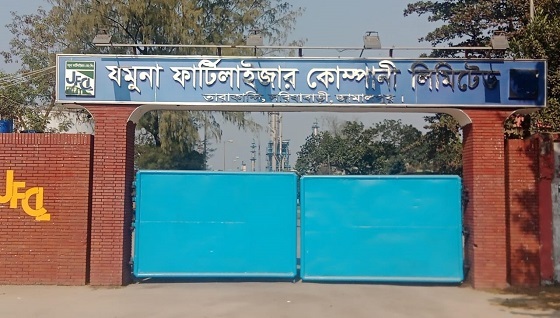 image-here